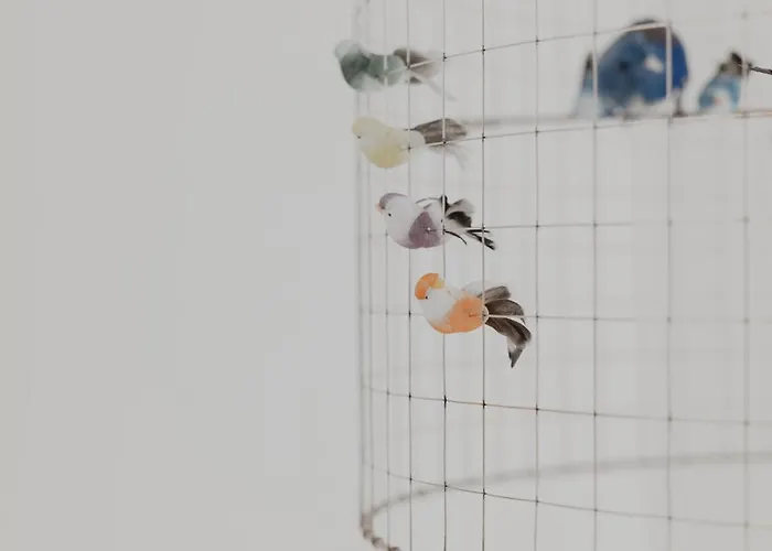 Gruene Haus - Boutique Ecofriendly شقة فندقية